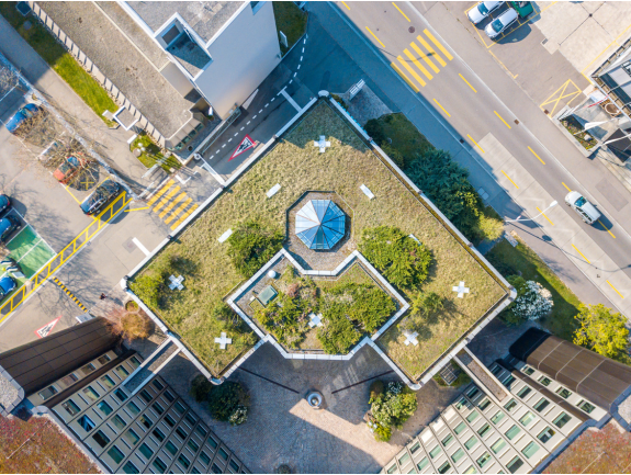 Green roof