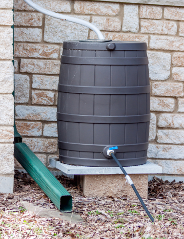 Rain barrel