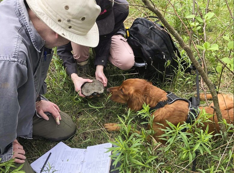 conservation heroes