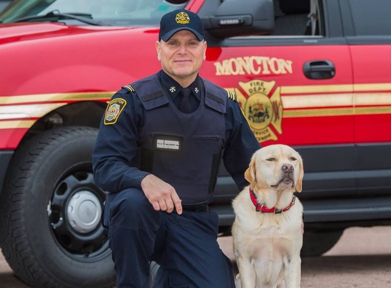 MFD and dog