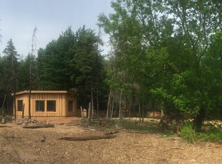 Wolf exhibit