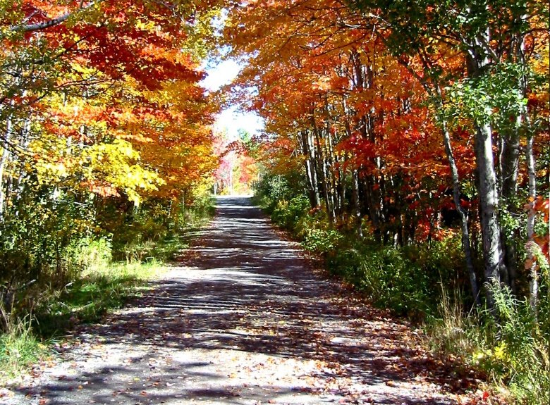 trail
