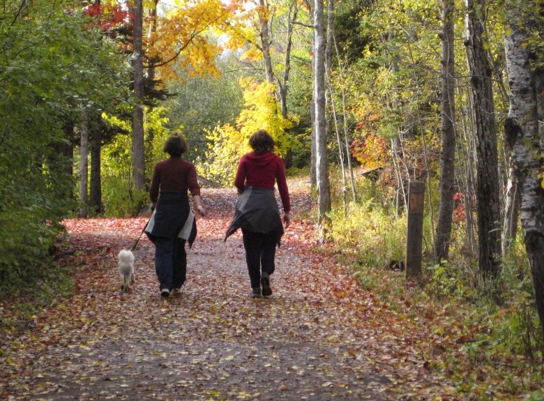 WalkingTrail_Sentier
