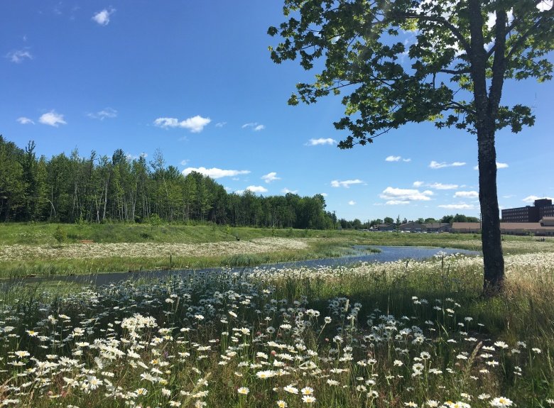 Detention Basin