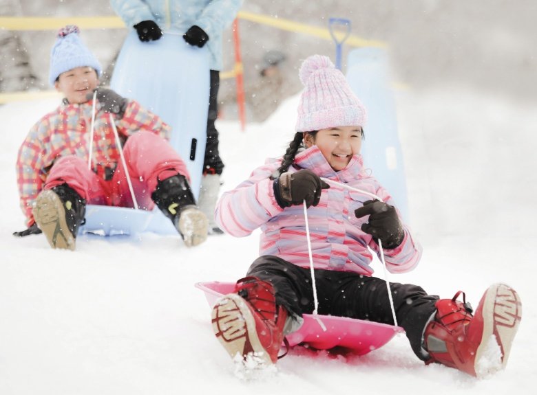 toboggan