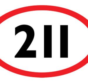 NB 211 logo