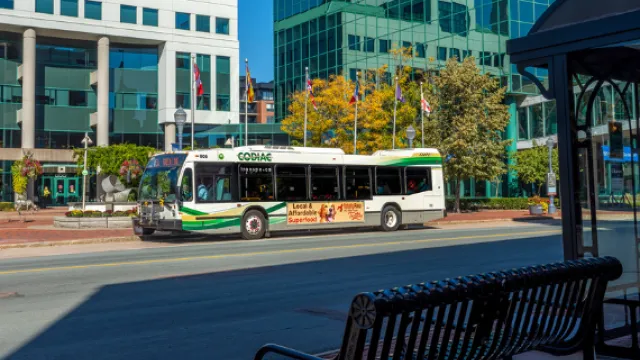 Codiac Bus at City Hall