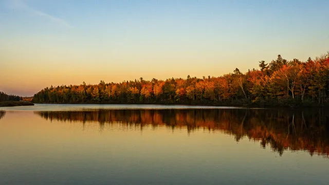 Irishtown Nature Park lake