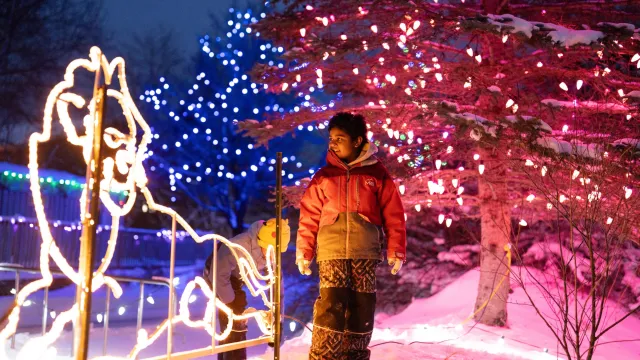 Two kids standing in front of a light display at the Zoo 