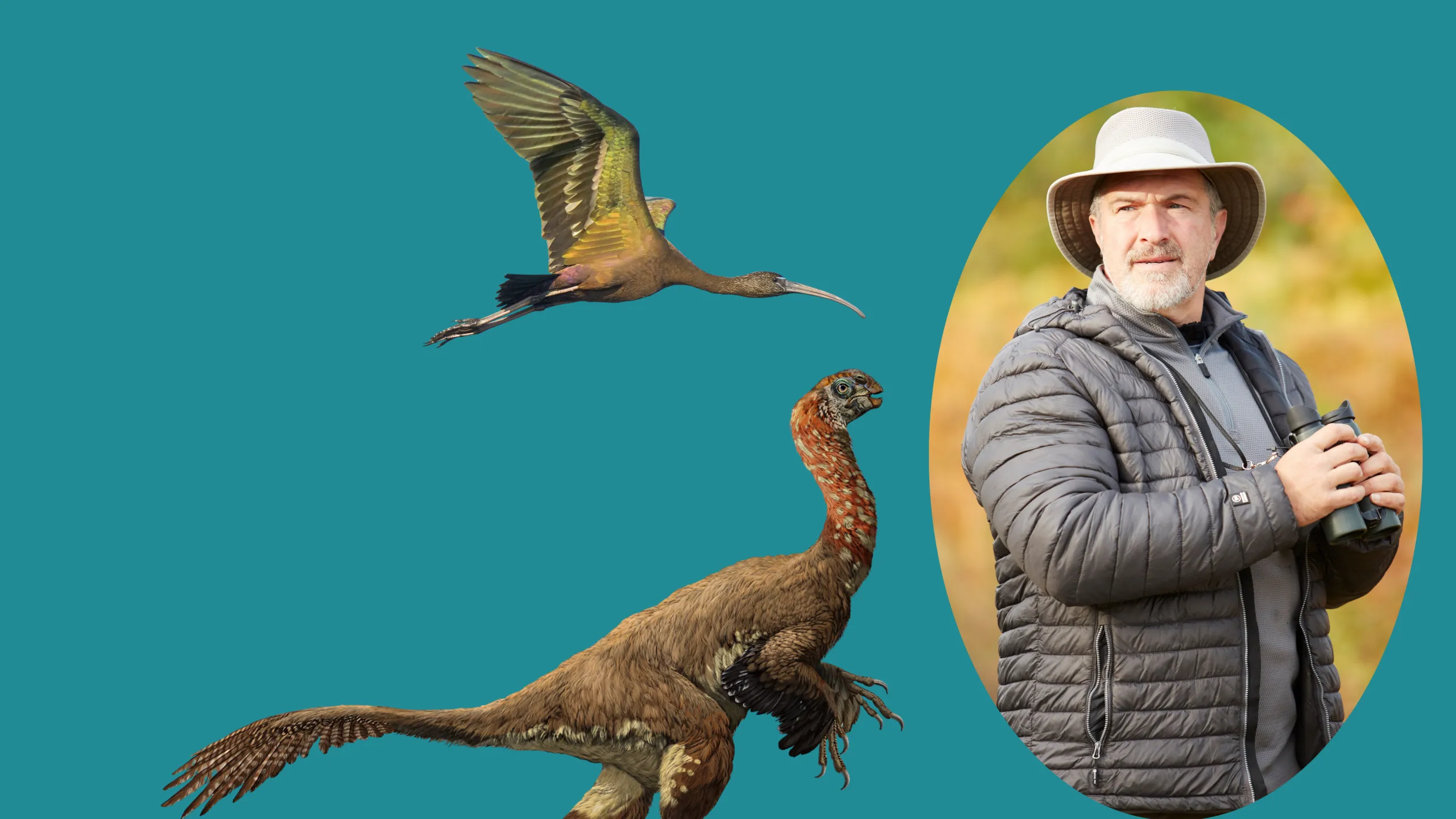 Illustrations of prehistoric birds and bird watcher 