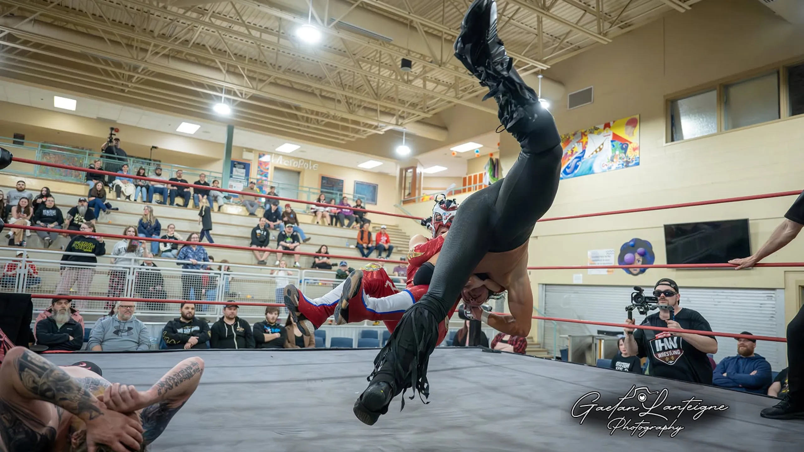 Live pro wrestling event