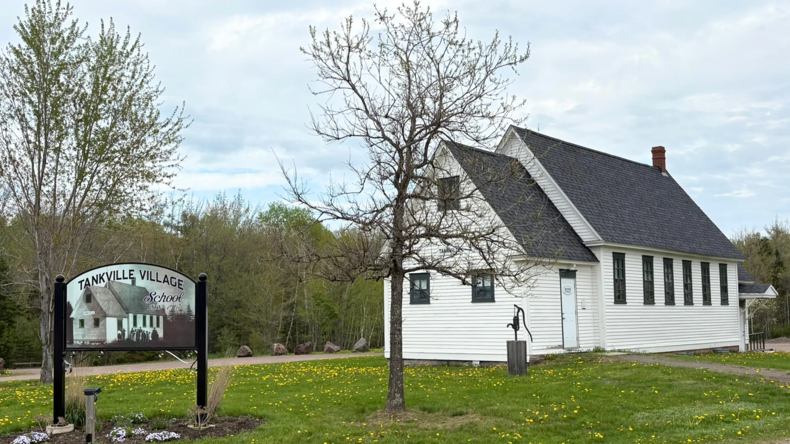 Tankville School