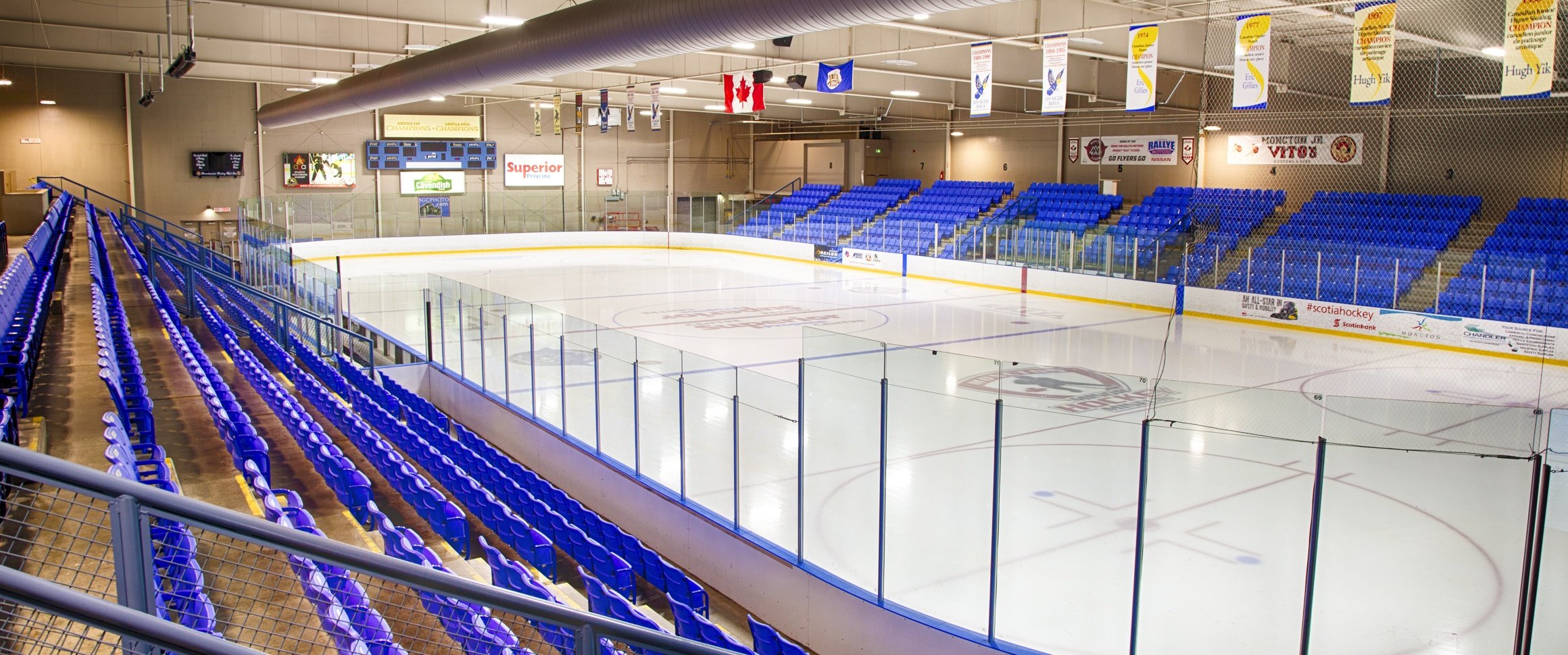 ARENA