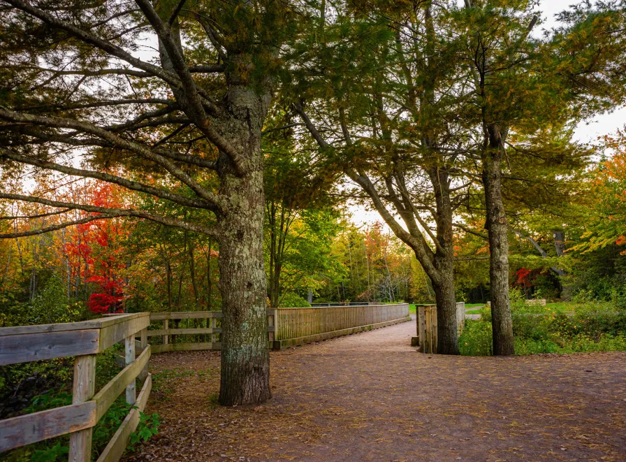Irishtown Nature Park trail in the fall