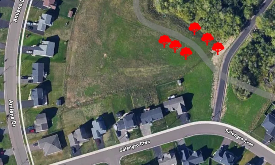 Jonathan Park tree locations