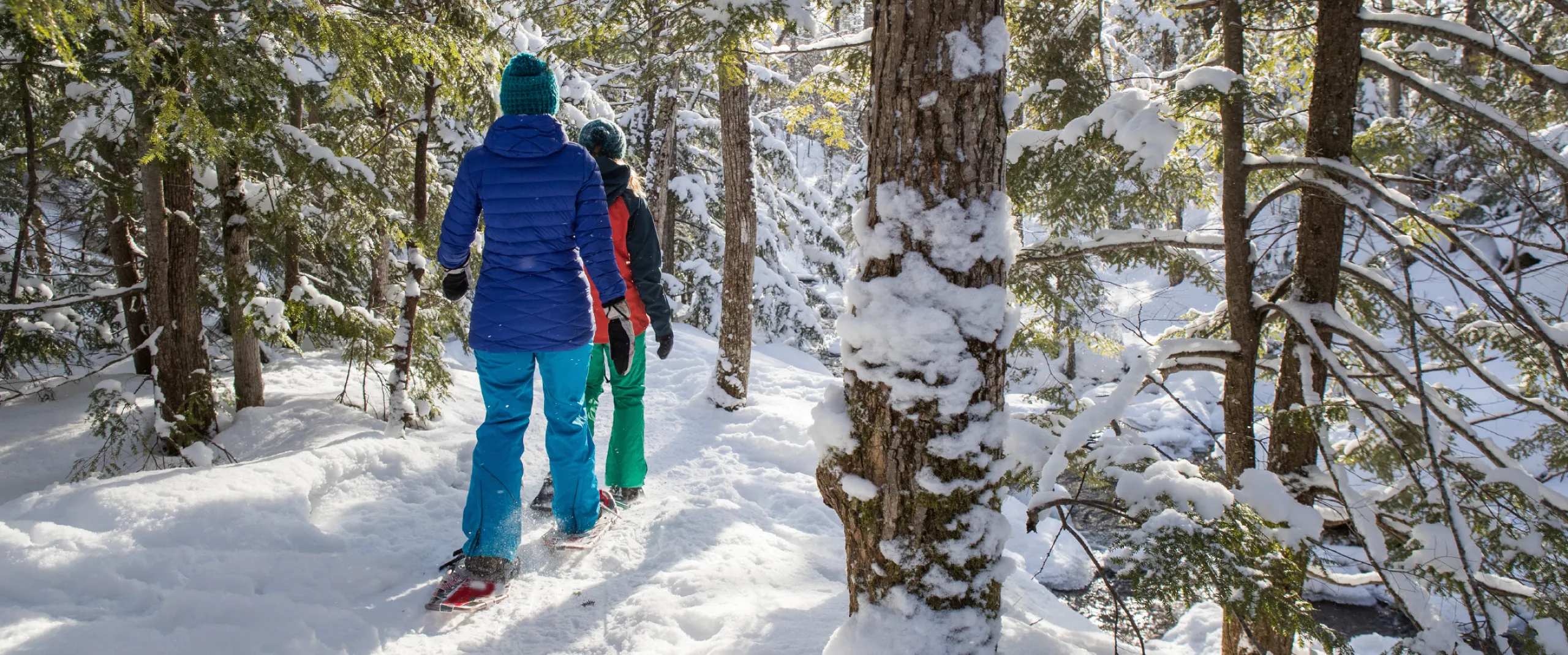 SNOWSHOES • RAQUETTES